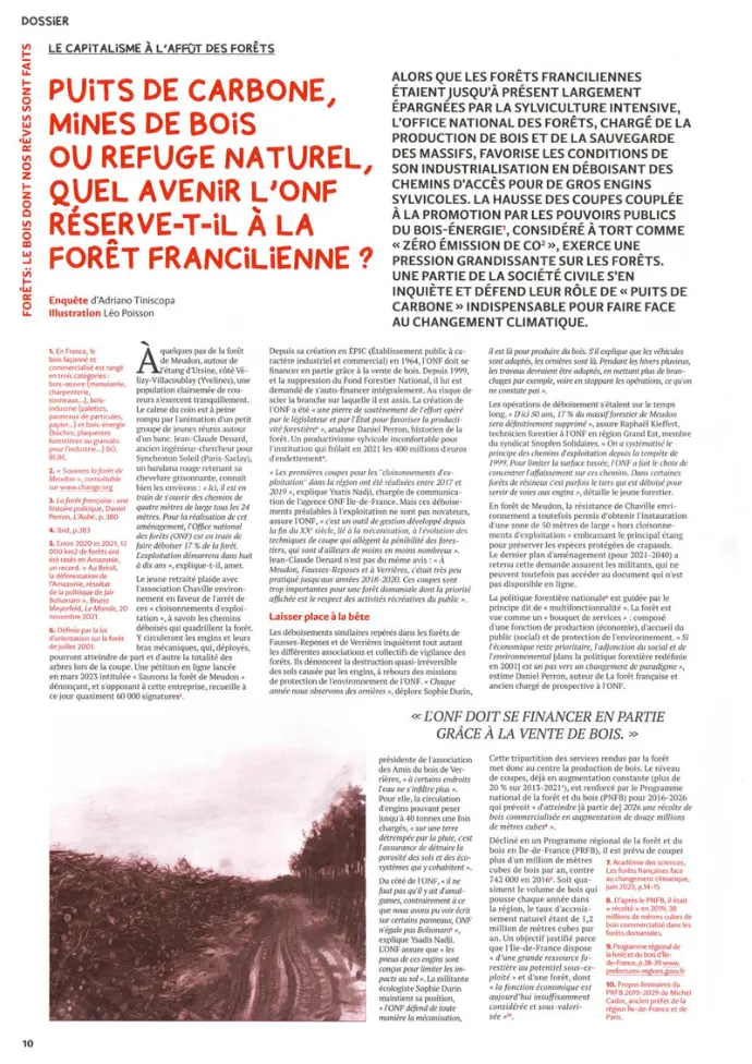 Le Chiffon : Forêts franciliennes