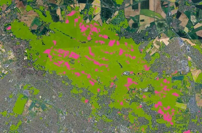 2024 : en rose, perte du couvert arboré (densité >30%).
