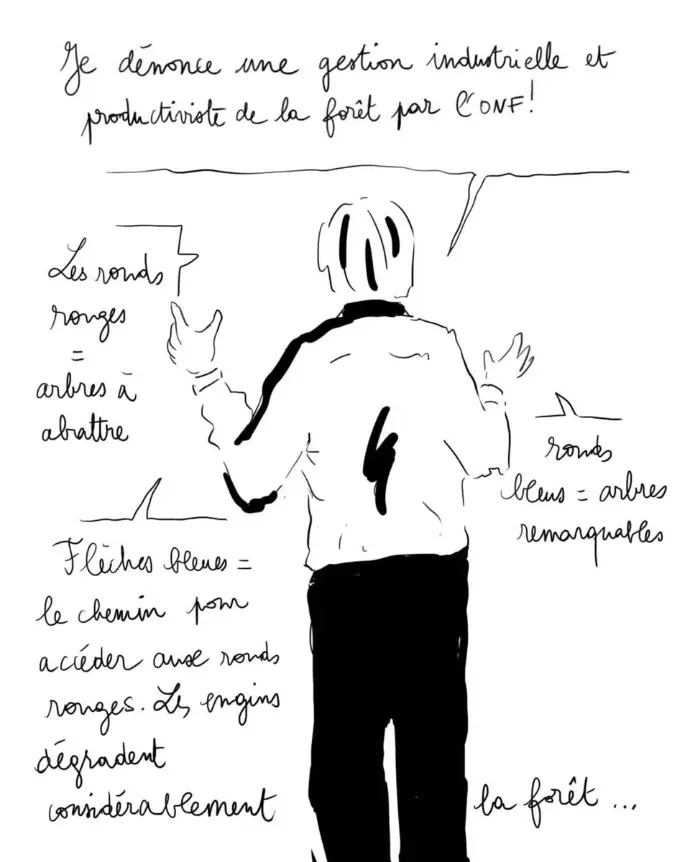 Illustrations de MSDE (Mouvement de soutien des défenseurs de l’environnement)