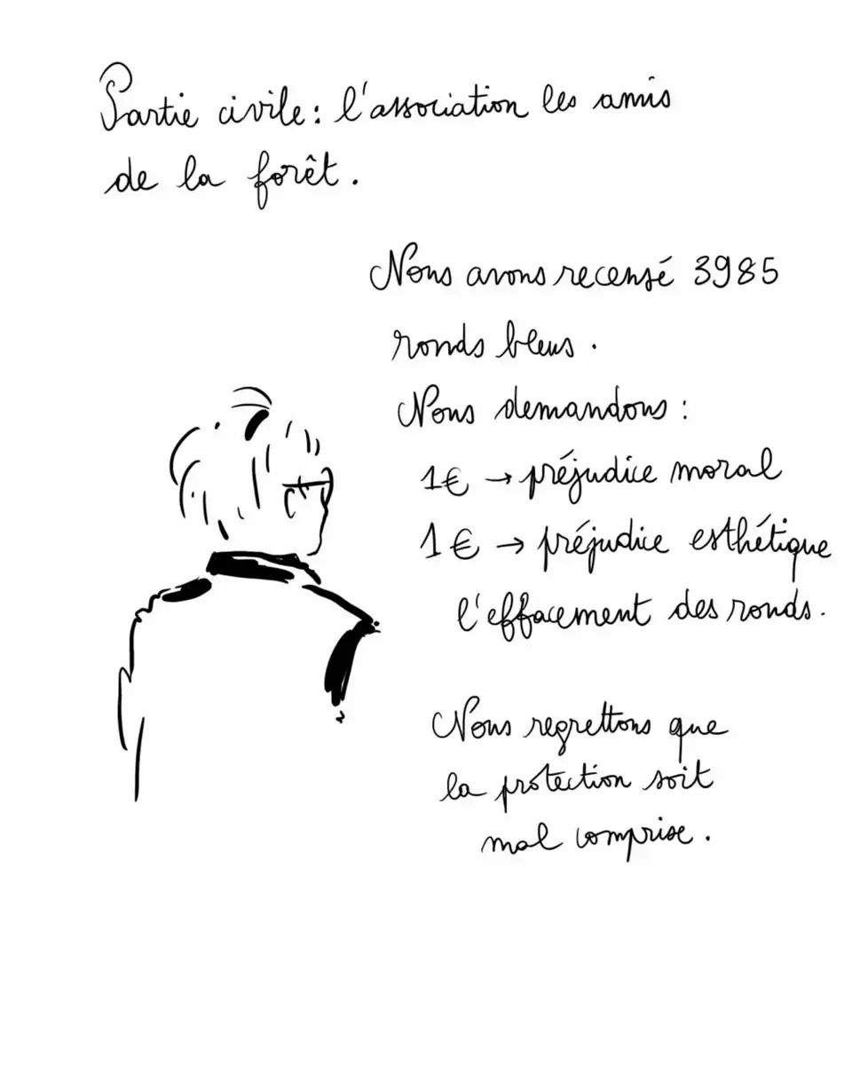 Illustrations de MSDE (Mouvement de soutien des défenseurs de l’environnement)