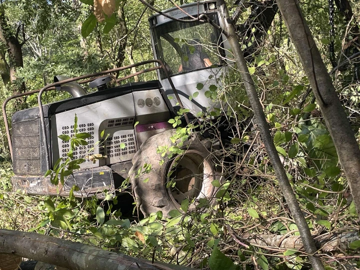 Abatteuse en forêt de la Malmaison