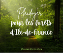 Pour des forêts vivantes en Île-de-France - FNE IDF