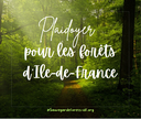 Forêts publiques d'Ile-de-France : elles ne font pas campagne, mais vous pouvez voter pour elles !
